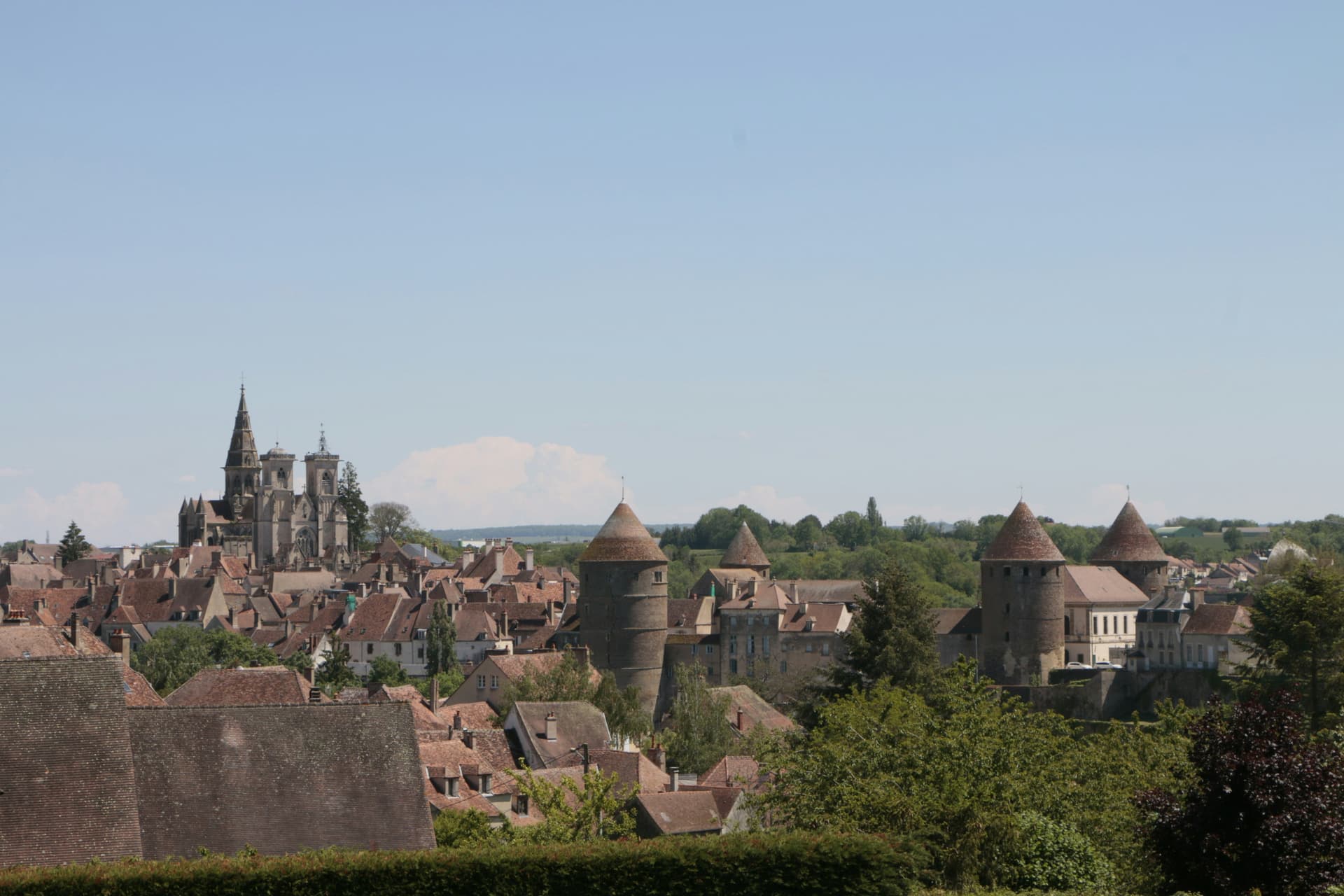 Provence lavender fields
